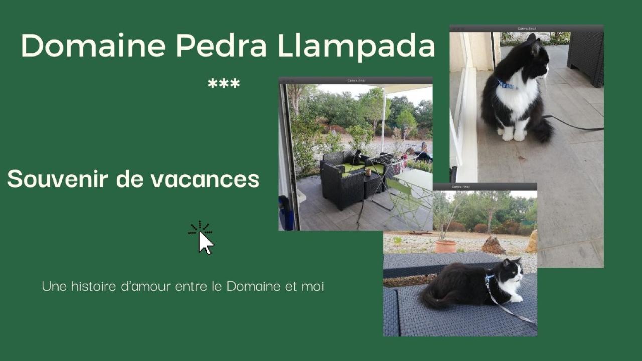 Domaine Pedra Llampada Gites Montagne Villelongue-dels-Monts Zewnętrze zdjęcie