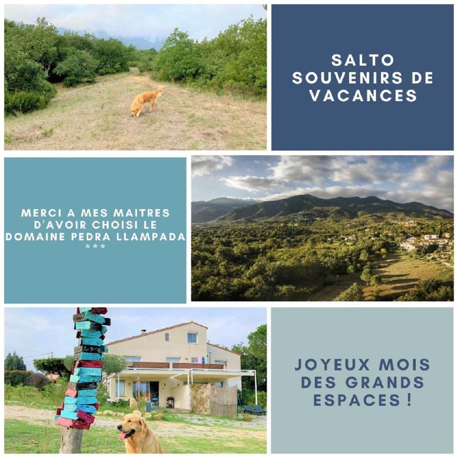 Domaine Pedra Llampada Gites Montagne Villelongue-dels-Monts Zewnętrze zdjęcie