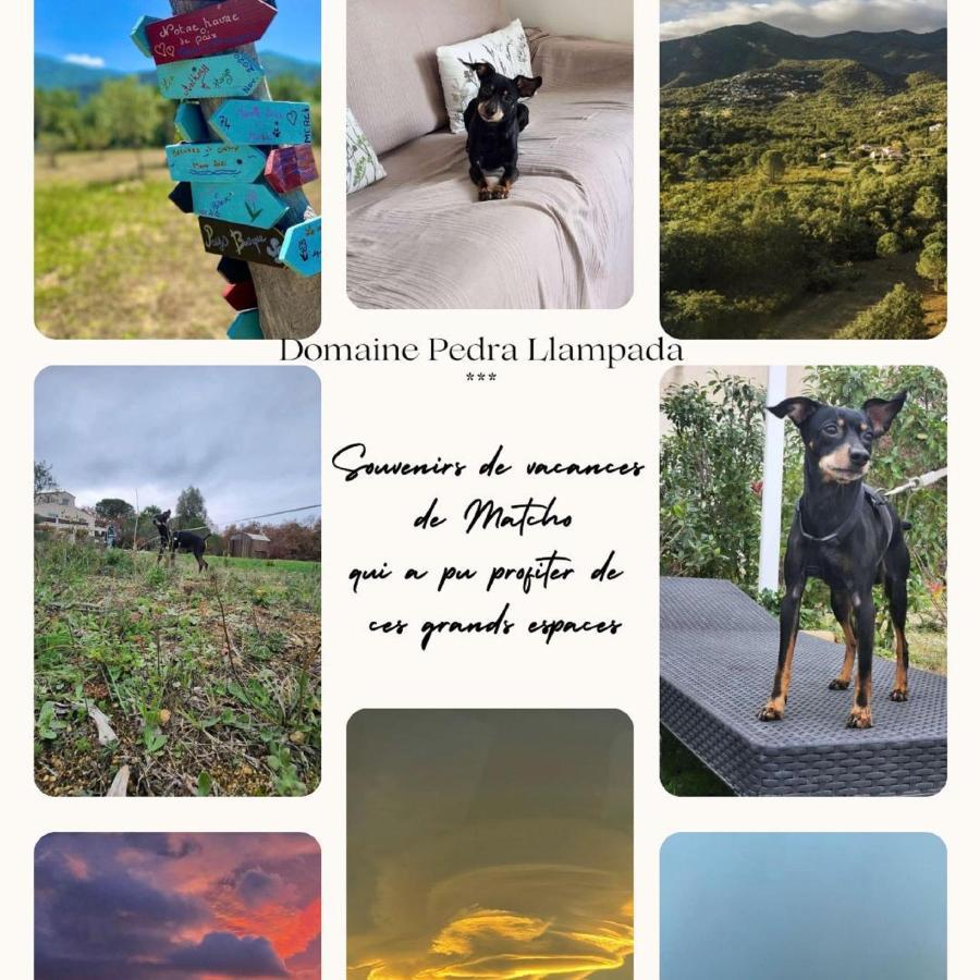 Domaine Pedra Llampada Gites Montagne Villelongue-dels-Monts Zewnętrze zdjęcie